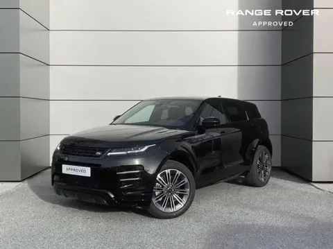 Annonce LAND ROVER RANGE ROVER EVOQUE  2024 d'occasion 