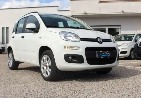 Annonce FIAT PANDA  2017 d'occasion 