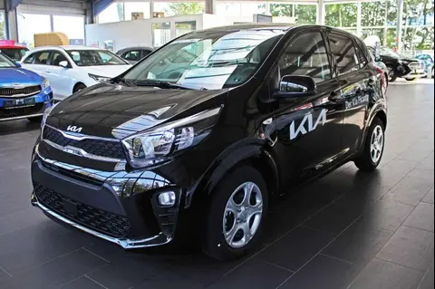 Used KIA PICANTO Petrol 2024 Ad 