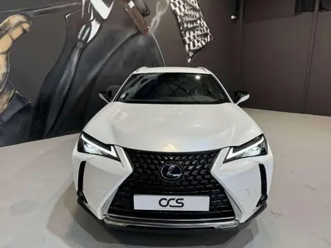 Used LEXUS UX Hybrid 2022 Ad 