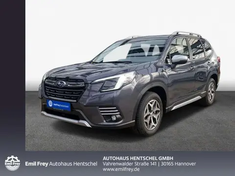 Annonce SUBARU FORESTER Hybride 2024 d'occasion 