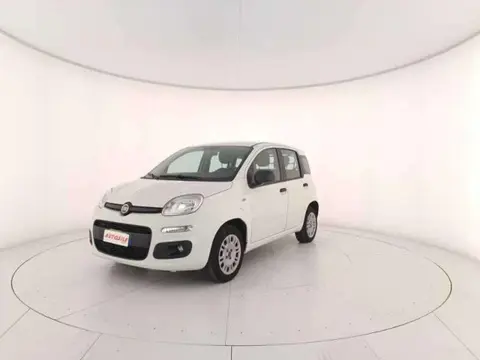 Used FIAT PANDA Petrol 2019 Ad 