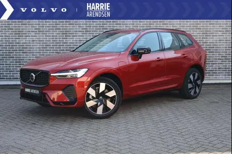 Annonce VOLVO XC60 Hybride 2024 d'occasion 