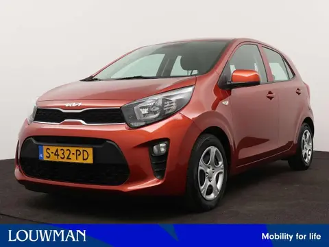 Used KIA PICANTO Petrol 2023 Ad 