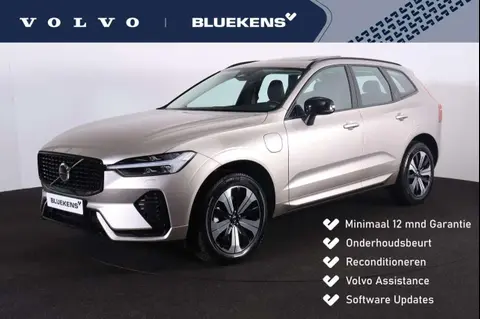 Used VOLVO XC60 Hybrid 2023 Ad 