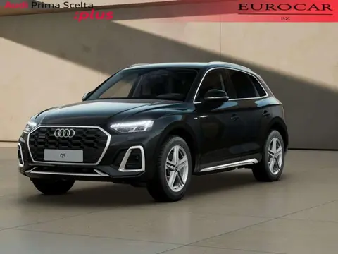 Used AUDI Q5 Hybrid 2023 Ad 