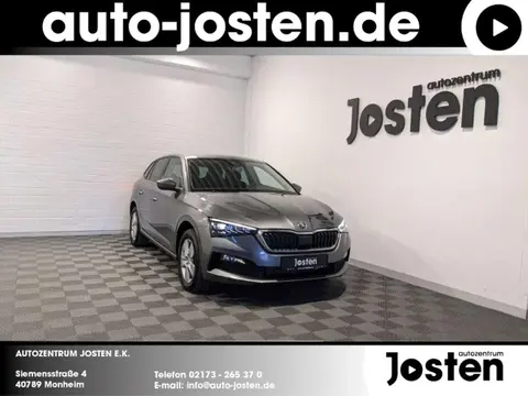 Used SKODA SCALA Petrol 2023 Ad 