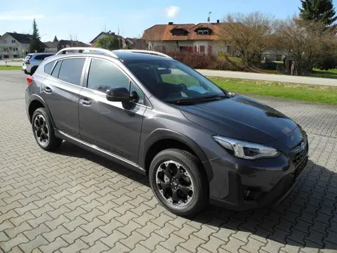 Used SUBARU XV Petrol 2023 Ad 