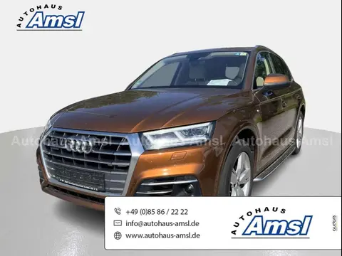 Used AUDI Q5 Diesel 2019 Ad 