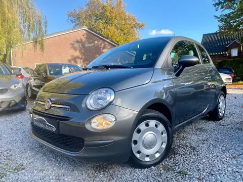 Used FIAT 500 Petrol 2019 Ad 