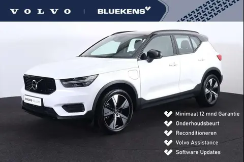 Used VOLVO XC40 Hybrid 2021 Ad 