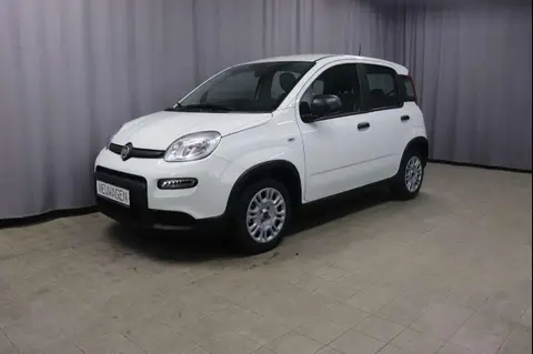 Annonce FIAT PANDA Essence 2024 d'occasion 