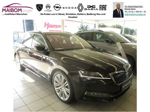 Annonce SKODA SUPERB Diesel 2024 d'occasion 