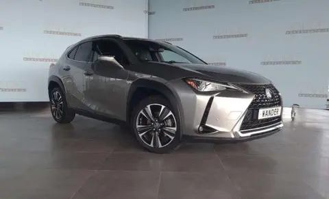 Annonce LEXUS UX Hybride 2022 d'occasion 