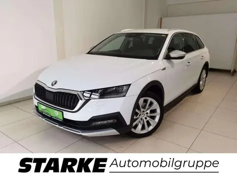 Used SKODA OCTAVIA Diesel 2021 Ad 