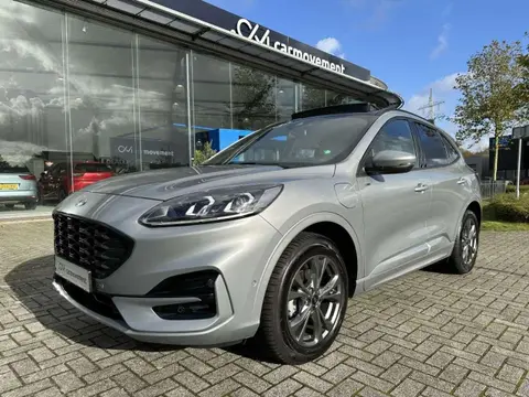 Used FORD KUGA Hybrid 2022 Ad 