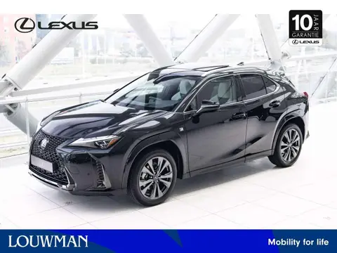 Annonce LEXUS UX Hybride 2024 d'occasion 