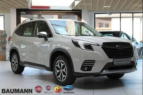 Annonce SUBARU FORESTER Hybride 2023 d'occasion 