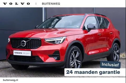 Annonce VOLVO XC40 Hybride 2024 d'occasion 