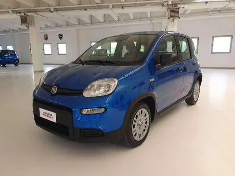 Used FIAT PANDA Hybrid 2024 Ad 