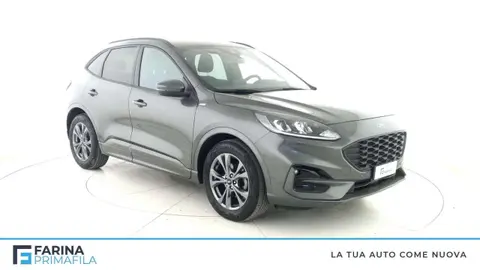 Used FORD KUGA Diesel 2022 Ad 