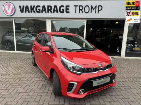 Annonce KIA PICANTO Essence 2019 d'occasion 