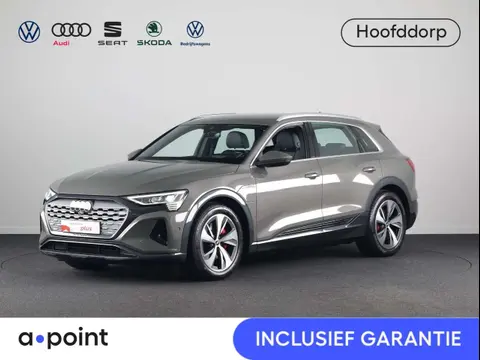 Used AUDI Q8 Electric 2023 Ad 