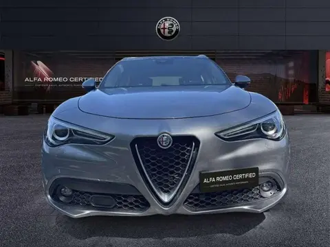 Used ALFA ROMEO STELVIO Diesel 2020 Ad 