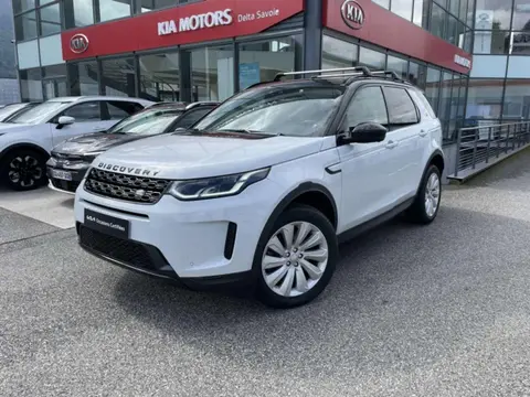 Annonce LAND ROVER DISCOVERY  2021 d'occasion 