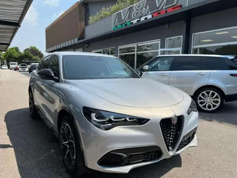 Used ALFA ROMEO STELVIO Diesel 2024 Ad 