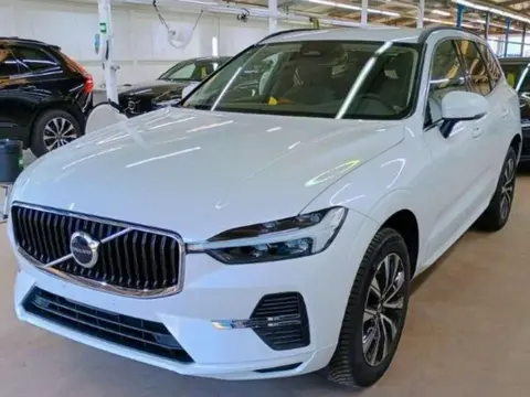 Annonce VOLVO XC60 Diesel 2023 d'occasion 