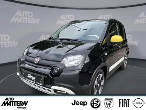 Used FIAT PANDA Petrol 2024 Ad 