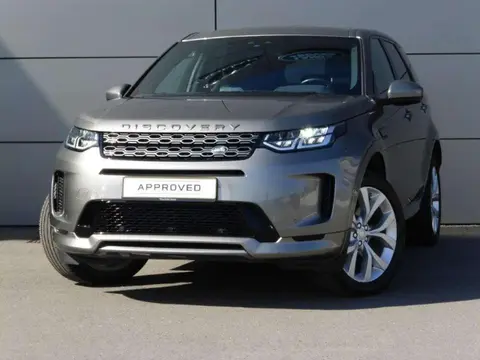 Used LAND ROVER DISCOVERY Diesel 2020 Ad Belgium