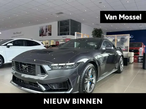 Annonce FORD MUSTANG Essence 2024 d'occasion 