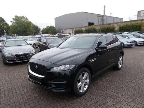 Used JAGUAR F-PACE Diesel 2017 Ad Germany