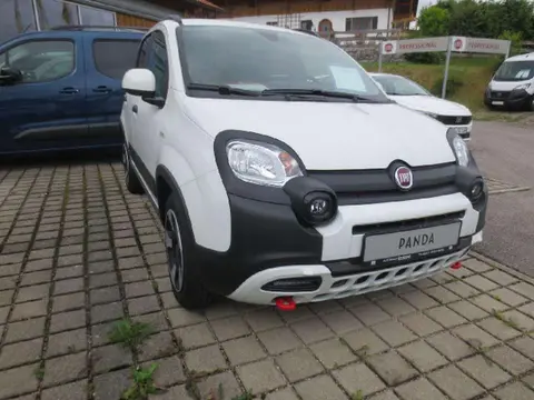 Used FIAT PANDA Petrol 2024 Ad 