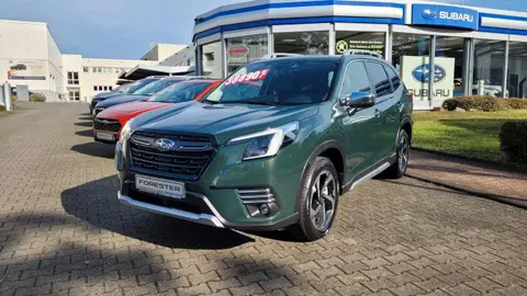 Annonce SUBARU FORESTER Hybride 2024 d'occasion 