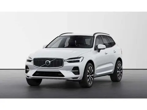 Annonce VOLVO XC60 Diesel 2024 d'occasion 