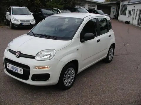 Used FIAT PANDA Petrol 2018 Ad 