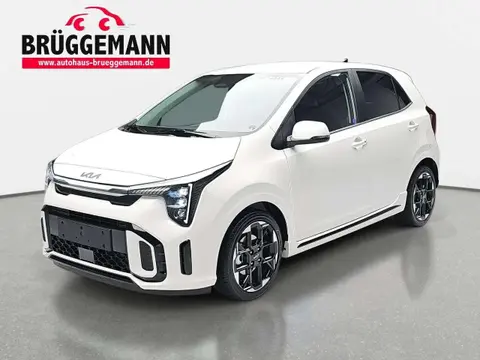 Annonce KIA PICANTO Essence 2024 d'occasion 