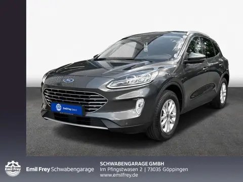 Annonce FORD KUGA Essence 2021 d'occasion 