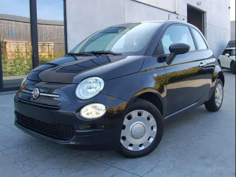 Annonce FIAT 500 Essence 2019 d'occasion 