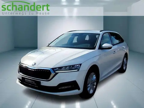 Used SKODA OCTAVIA Diesel 2023 Ad 