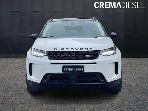 Used LAND ROVER DISCOVERY Hybrid 2021 Ad 