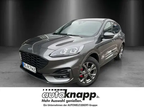 Annonce FORD KUGA Hybride 2024 d'occasion 