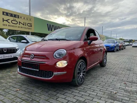 Used FIAT 500 Petrol 2023 Ad 