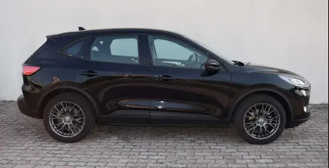 Annonce FORD KUGA Diesel 2021 d'occasion 