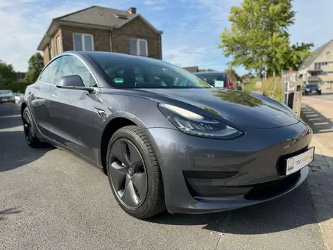 Used TESLA MODEL 3 Electric 2019 Ad 