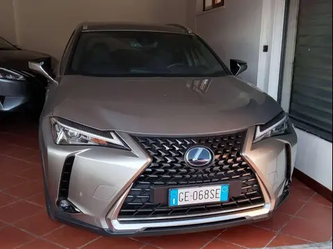 Annonce LEXUS UX Hybride 2021 d'occasion 