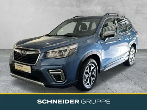 Annonce SUBARU FORESTER Essence 2019 d'occasion 